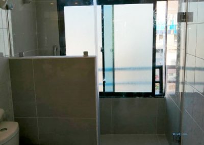 Shower Door en Vidrio Templado